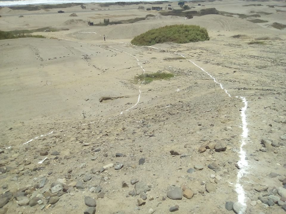 Denuncian invasi&oacute;n de totorales de Huanchaco 