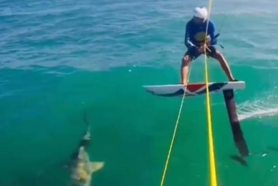 Surfista choca contra un tibur&oacute;n mientras practicaba kite-surf 