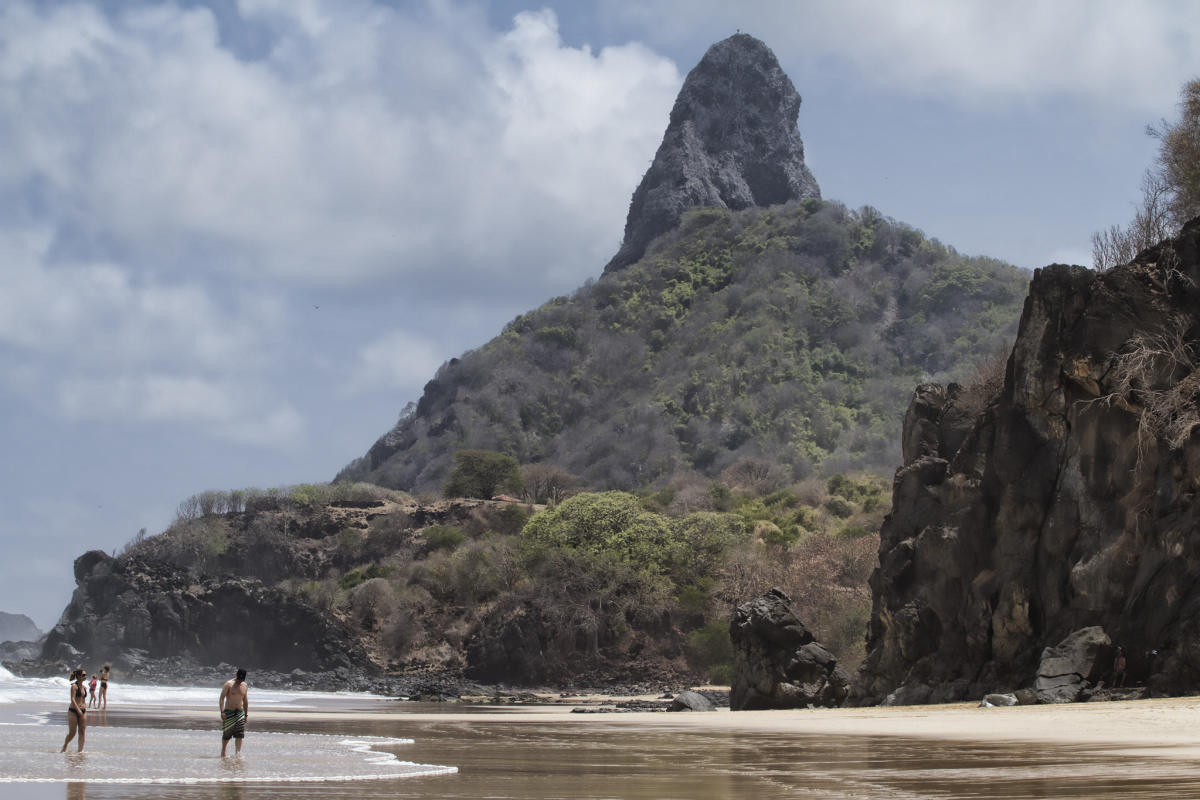 Brasil: Surfista es mordido por tibur&oacute;n en Fernando de Noronha