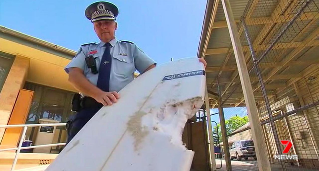 Australia: Byron Bay en alerta tras reciente ataque de tibur&oacute;n
