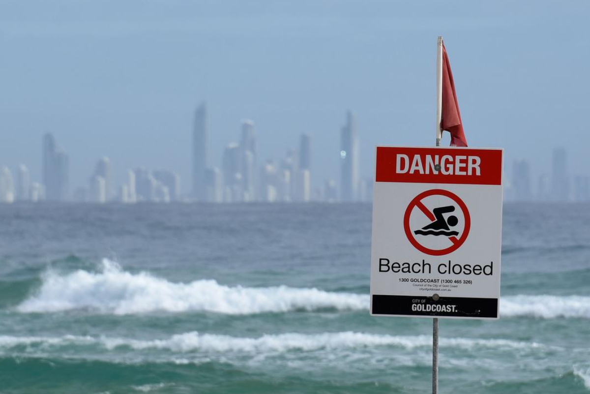 Tibur&oacute;n mata surfista en Gold Coast 