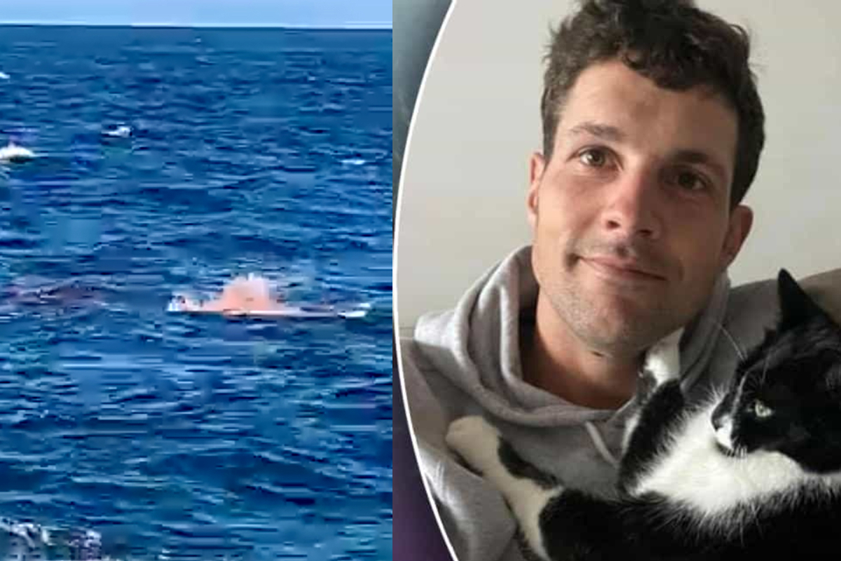 Enorme tibur&oacute;n blanco devora hombre en Australia 
