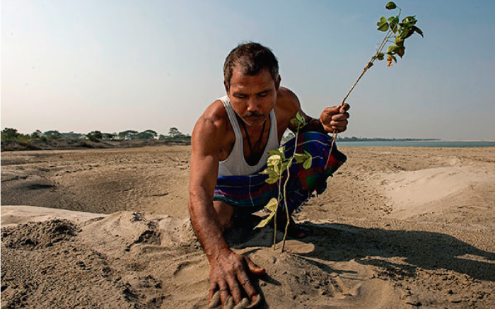 El hombre que pas&oacute; 37 a&ntilde;os plantando un bosque completo para salvar su isla